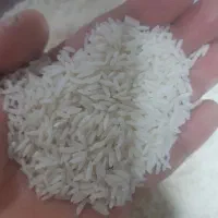 برنج هاشمی|خوردنی و آشامیدنی|بندر انزلی, سوسر|دیوار