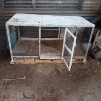 قفس مرغ|لوازم جانبی حیوانات|امیدیه, |دیوار