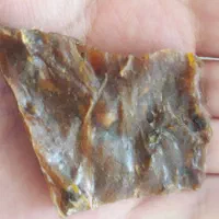 زدی گون