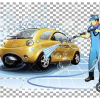 نیروی کارواش