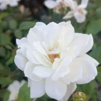 راهنمایی کنید