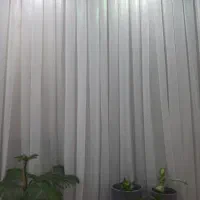 پرده شاین نونو|پرده، رانر، رومیزی|ورامین, ورامین|دیوار