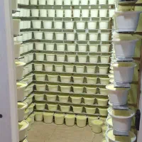 استخدام نیرو