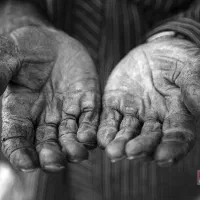 جوان جویای کاردر بوشهر هستم لطفا بخوانید