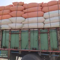 خریدار کاه دیم کمباین تناژ بالا|خدمات باغبانی و درختکاری|قروه, |دیوار