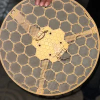آنتن میکروتیک