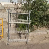 ویترین مغازه و قفسه