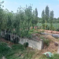ویلا/خونه باغی/استثنایی/فروش فوری/کردکوی