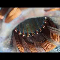 خریدار فروش ابزار  سنگ رومیزی سندان پروفیل اره|ابزارآلات|بومهن, |دیوار