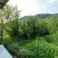 اسکان  و بوم گردی لفور