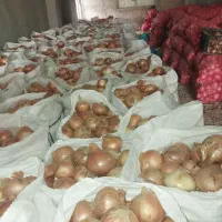 پیاز|خوردنی و آشامیدنی|فاروج, |دیوار