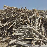 خرید چوب|خدمات باغبانی و درختکاری|قوچان, |دیوار