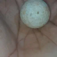 سنگ اسیاب اصل|کلکسیون اشیاء عتیقه|برازجان, |دیوار