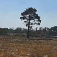 کرج-فروش-زمین