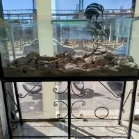 اکواریوم بزرگ با پایه اهنی زیر قیمت