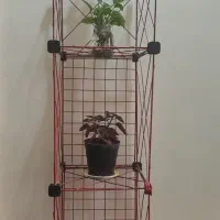 قفسه و دو عدد قفس|کتابخانه، شلف، قفسه‌های دیواری|صدرا-فارس, فاز ۱|دیوار