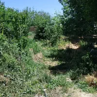 دعوت به همکاری جهت احداث بوم گردی
