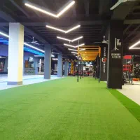 لاین نوری