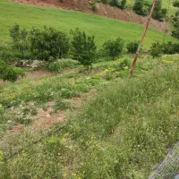 خانه باغ فروشی