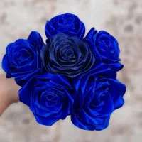 گل ربانی|گل مصنوعی|تهران, تهرانپارس شرقی|دیوار