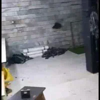 زیرزمین تجاری|اجارهٔ مغازه و غرفه|تهران, بهمن یار|دیوار