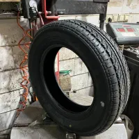 لاستیک دولتی