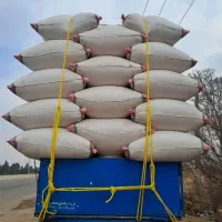 کاه دیم خوشه.کیسه گرفته.ممتاز.خرده وتناژ