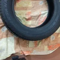 لاستیک ساینا سال ۲۰۲۵