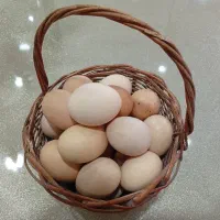 تخم مرغ محلی درشت و تازه|خوردنی و آشامیدنی|تهران, هفت چنار|دیوار