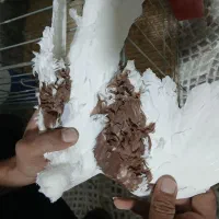 کبوترجکسون|پرنده|بافق, |دیوار