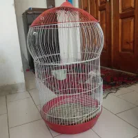 قفس پرنده در حد نو