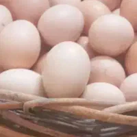 30عدد تخم مرغ محلی تازه