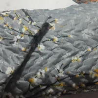 روبالشتی پنبه دوزی جفتی ۱۵۸|رختخواب، بالش، پتو|تهران, زهتابی|دیوار