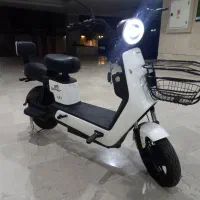 موتور برقی برند دارویت