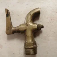 شیر برنجی و...