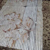 پرده زبراعرض۲/۵۵طول۱/۳۰مبل میزبان بارویه فرش ۶متری|پرده، رانر، رومیزی|قرچک, پویینک|دیوار