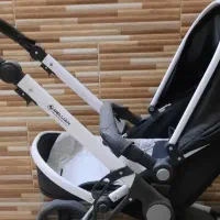 کالسکه دلیجان|کالسکه و لوازم جانبی|تهران, جلیلی|دیوار