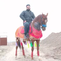 اسب سواریدار وخیلی ارام
