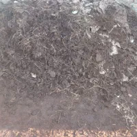 کود حیوانی خالص