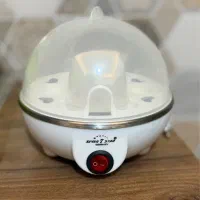 تخم مرغ ابپزبرقی