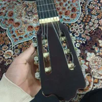 گیتار FOX|گیتار، بیس، امپلیفایر|رباطکریم, الارد|دیوار