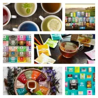 کار آنلاین وآموزش رایگان