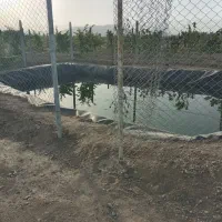 باغچه فروش زیرقیمت