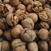 شیره انگور خوشمزه هیزم پز .کره محلی پنیر وبادوم...