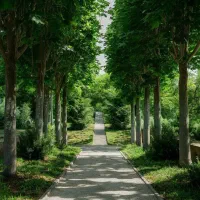 باغ دست کوه 2079 متری