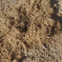 کاه نیشکر|حیوانات مزرعه|ملایر, |دیوار