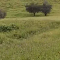 300مترزمین-مسکونی