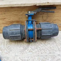 شیر پروانه ای