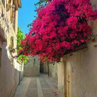 خانمی ۴۰ ساله خونه ندارم