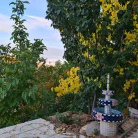 اجاره منزل ویلایی با ویو عالی شهر سپیدان